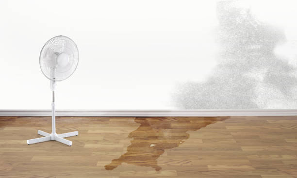 Best Water damage restoration near me  in Nemacolin, PA