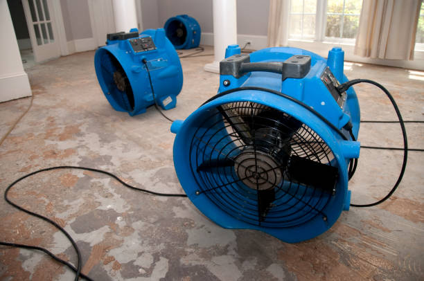 Best Water damage cleanup near me  in Nemacolin, PA