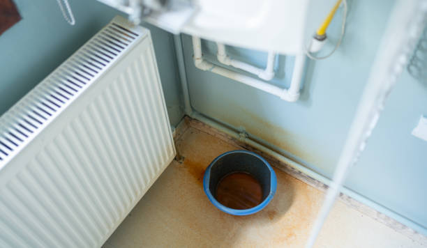 Best Basement water damage restoration  in Nemacolin, PA