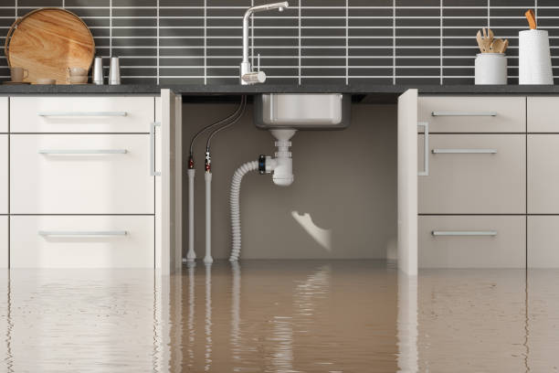 Best Residential water damage restoration  in Nemacolin, PA